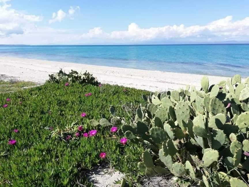 Villa Christina Sea Side A Chaniotis Dış mekan fotoğraf