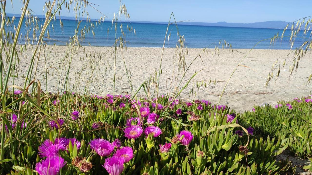 Villa Christina Sea Side A Chaniotis Dış mekan fotoğraf